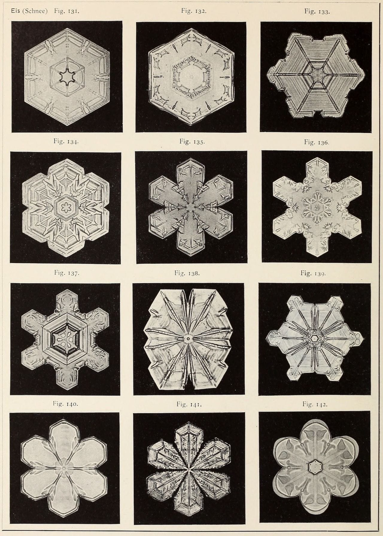 Fig. 5b: Various atlas images